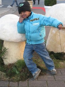 op een grote paddestoel !